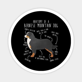 Bernese Mountain Dog Anatomy Magnet